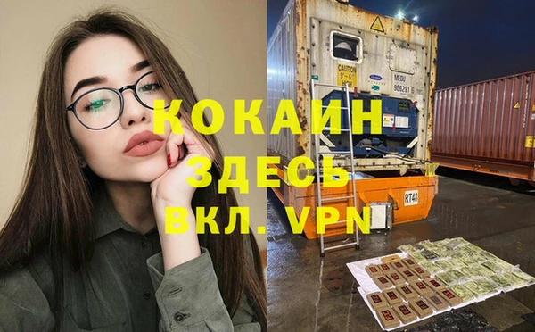 гашик Алзамай