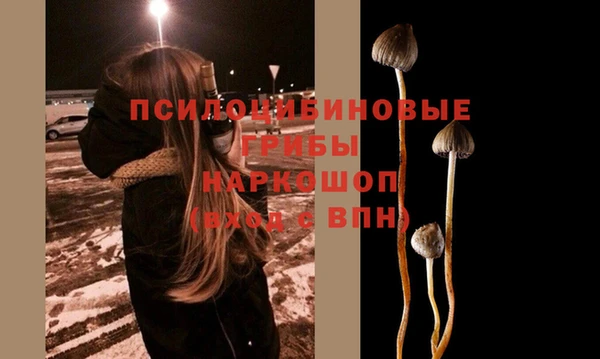 spice Алексин