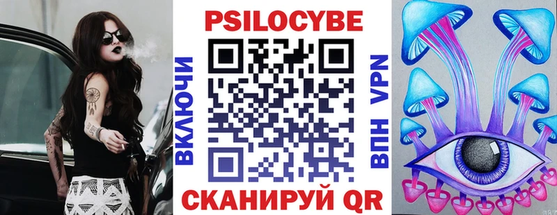 Галлюциногенные грибы Psilocybe  где можно купить наркотик  Волгоград 
